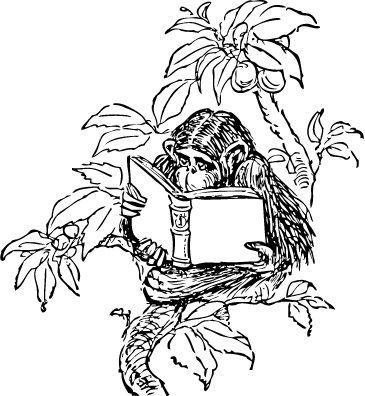 monkey reading a book